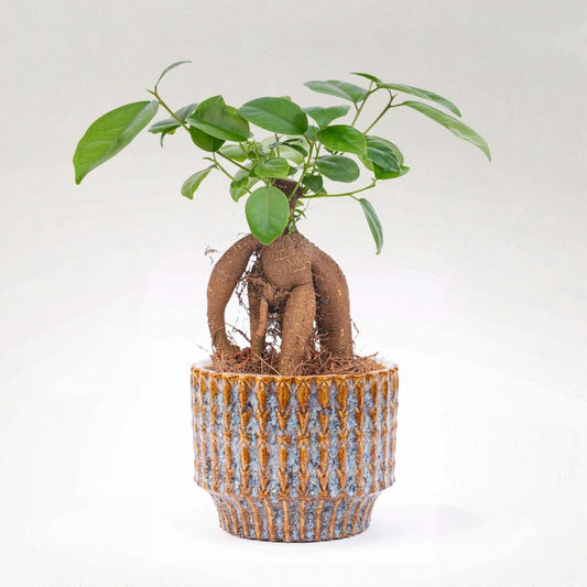 Een ronde, handgemaakte keramische plantenpot met een textuur van golvende, goudbruine en blauwe glazuur. Perfect voor binnen- en buitenruimtes, geschikt voor kleine planten of decoratieve doeleinden.