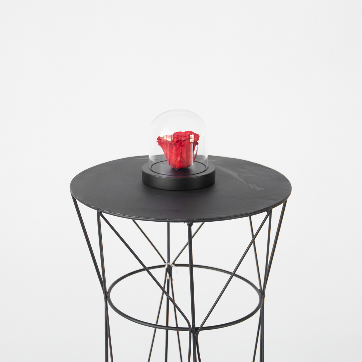 Rozenbloem in glazen stolp