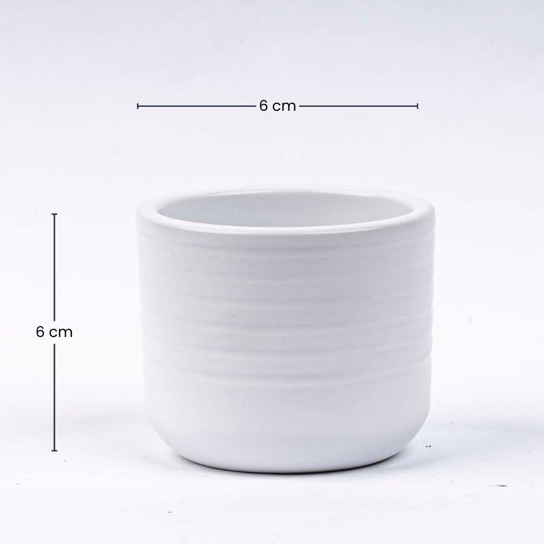 Donny - Mini Plant Pot - White - Ø 6 cm ↑ 6 cm
