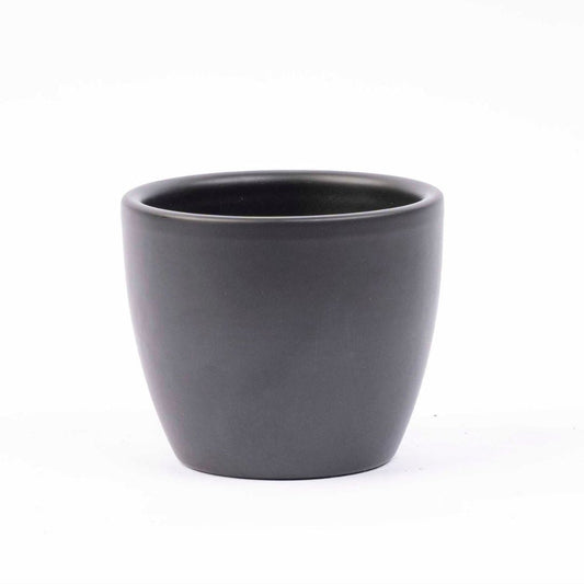 Een hartvormige, groene kamerplant met glanzende bladeren in een zwart potje. Perfect voor een minimalistische interieurdecoratie of als liefdesgeschenk voor een romantische ruimte.