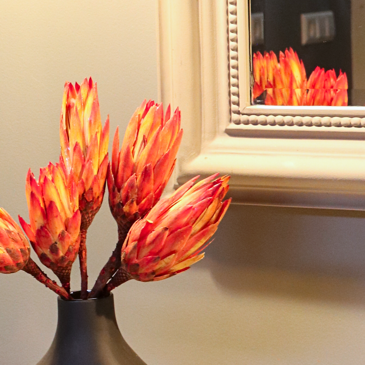 Boeket 'Protea Pendula Red' - 5 stuks - Droogbloemen