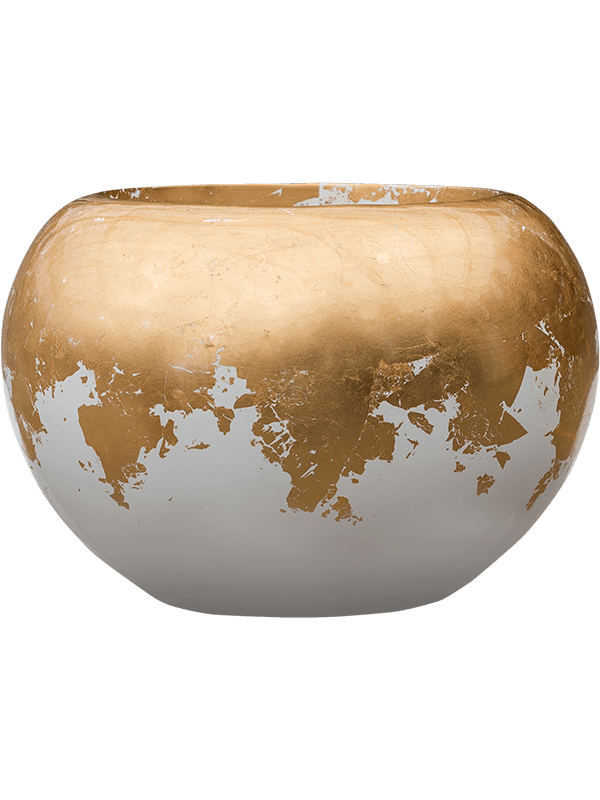 Alocasia 'Portodora' in Baq Luxe Lite Glossy Pot - Kant & Klaar