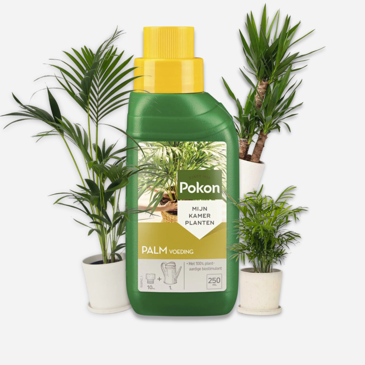 Pokon vloeibare palmvoeding - 250ml