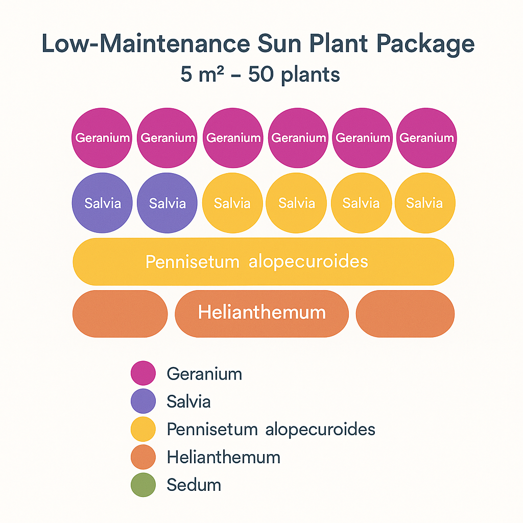 Borderpakket 'Onderhoudsarm-zonpakket' - 5m² - 50 planten