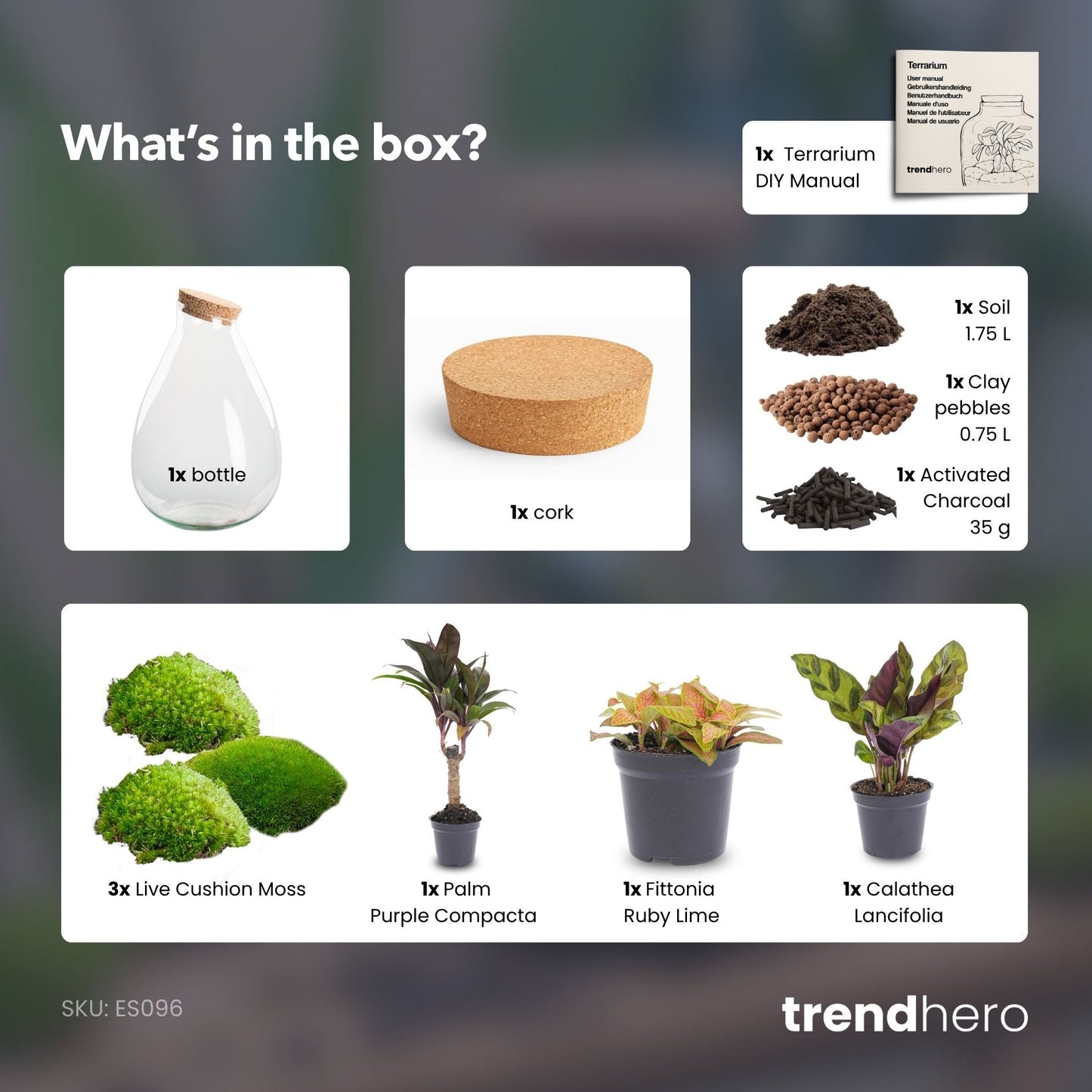 Drop XL Palm - Terrarium with cork - Bottle garden DIY kit – Ø 24 cm ↑ 37 cm