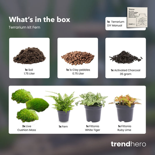 Comnox - Fern Plant Terrarium Refill & Starter kit - DIY pakket - Complete set voor glas van 20-30 cm