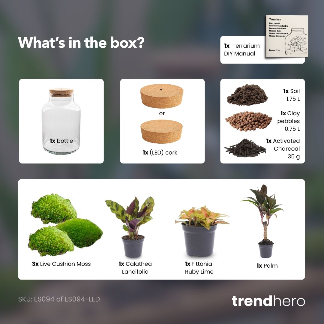 Milky Palm - Terrarium with light - Bottle garden DIY kit - Ø 21 cm ↑ 30 cm