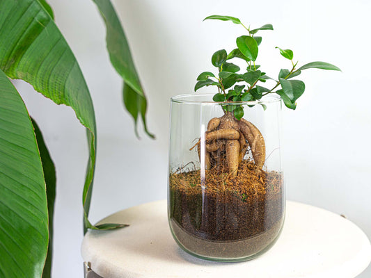 Vase Martin - DIY kit - ↑ 17 cm