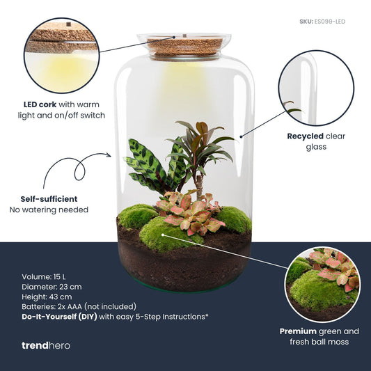 Een glazen terrarium met een korkdop, gevuld met groene mos, kleurrijke planten en een warme LED-verlichting. Ideaal voor binnenruimte decoratie en plantenverzorging.