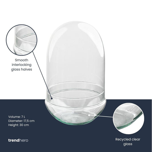Terrarium bottle ‘Egg XL’ – Two-part glass dome – Closed terrarium Ø 17.5 cm ↑ 30 cm