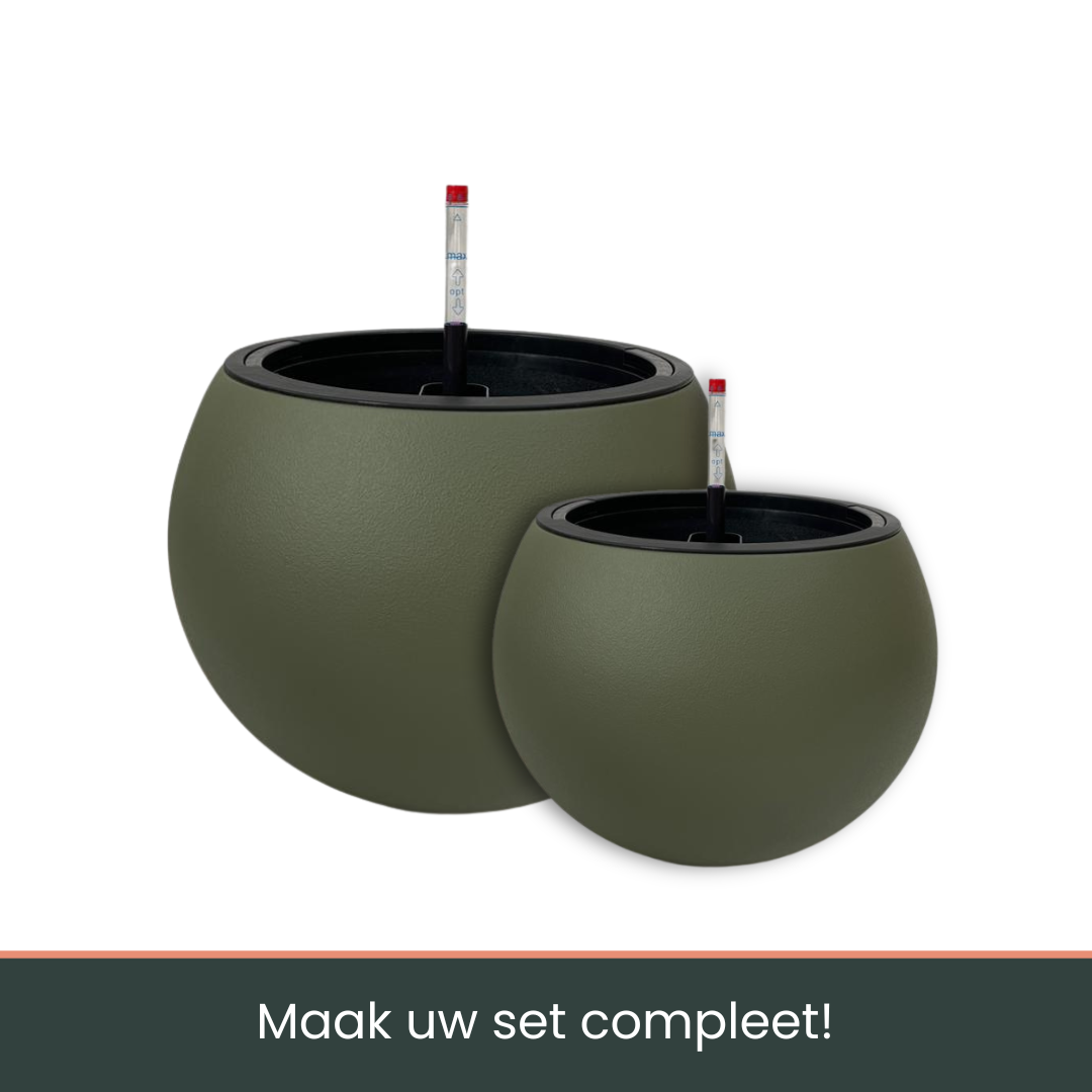 Olijfgroene, ronde penhouder met zwart randje, voorzien van een houder voor een potlood met rode dop. Ideaal voor kantoor of school, met een minimalistisch en functioneel ontwerp.
