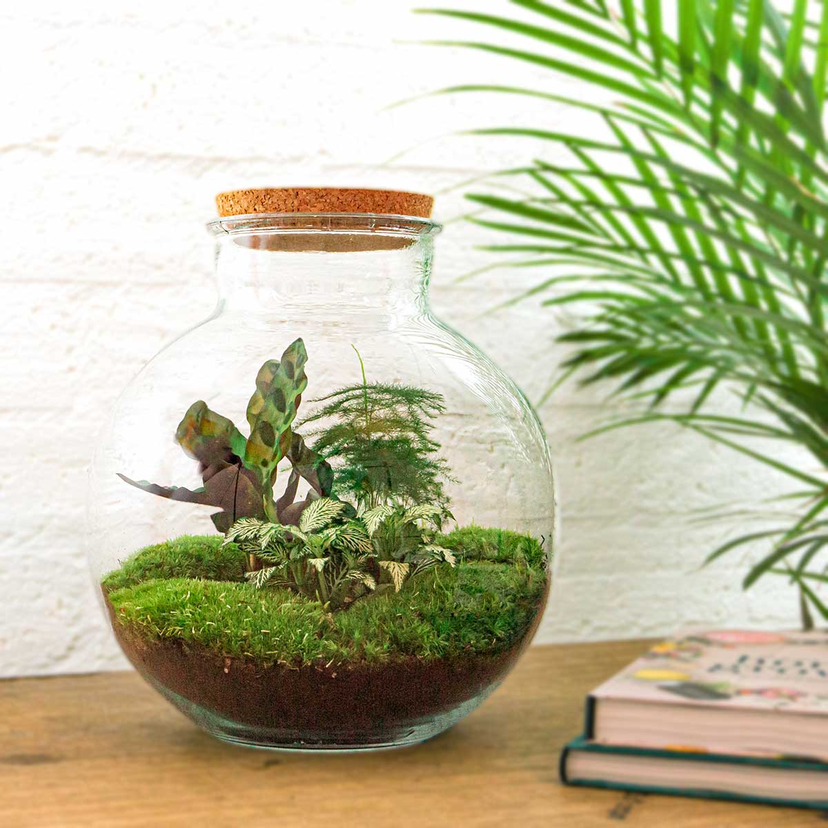 Bolder Bob - Terrarium with light - Bottle garden DIY kit - Ø 31 cm ↑ 30 cm