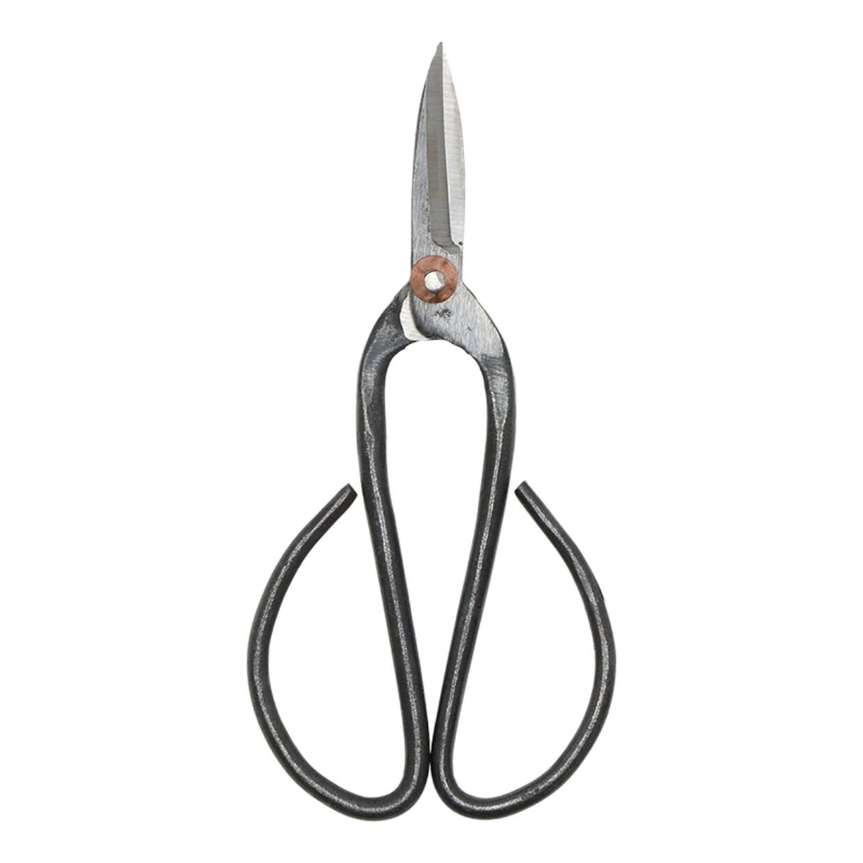 Bonsai shears L - 19 cm - Bonsai tool