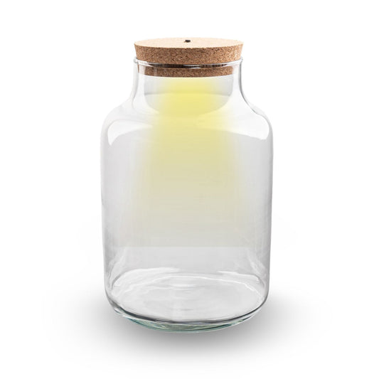 Comnox - Milky - Verlicht mini-ecosysteem - Glas met LED