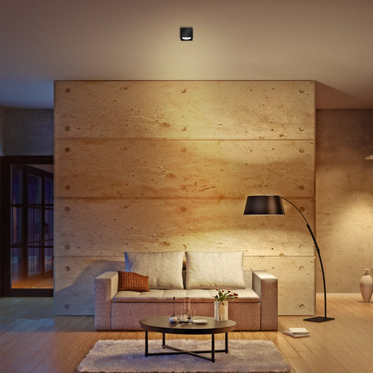 Cube Plafonniere met 1 lichtpunt - Draaibaar licht - Staal - 10 x 8 cm - Zwart