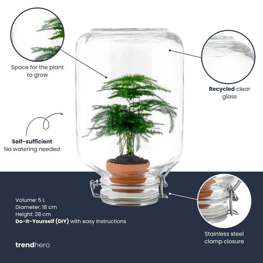 Een glazen pot met een kleurrijke, gestreepte plant in een terracotta pot. Perfect voor binnenruimte decoratie en als decoratieve plantenhouder.