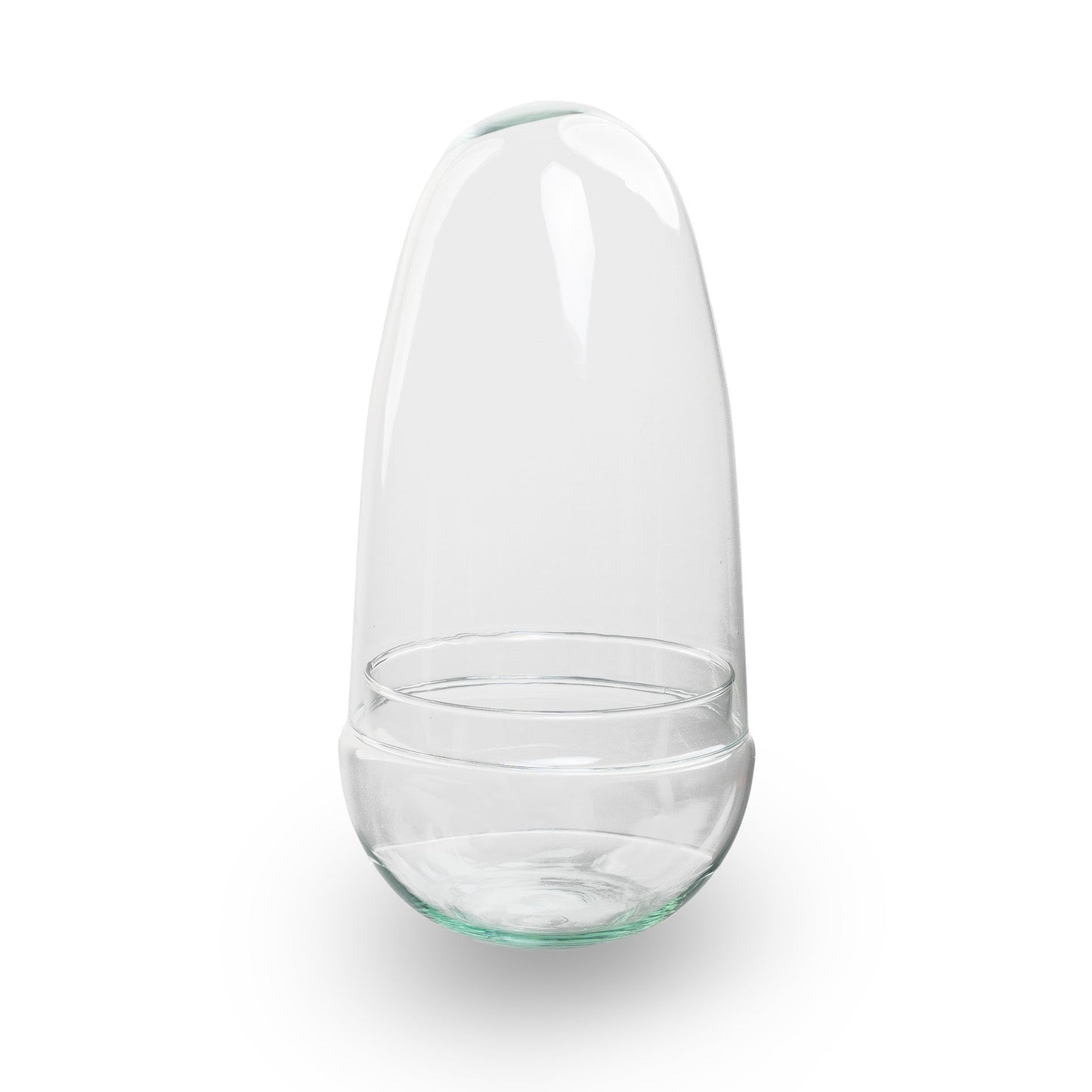 Egg Asparagus - Terrarium - Two-part glass dome - Bottle garden DIY kit - Ø 12 cm ↑ 25 cm