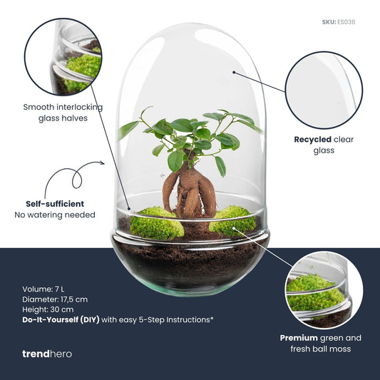 Een glazen koepel met een groene plant en zichtbare wortels op een donkere bodem, geplaatst op een houten tafel. Perfect voor binnenruimte decoratie en plantenliefhebbers.