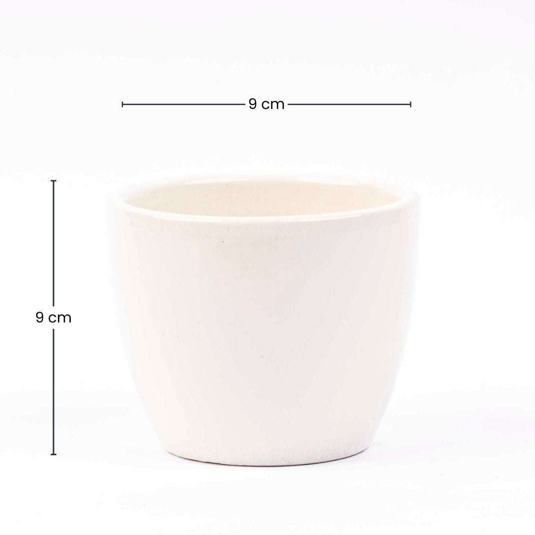 Panna Gloss - Mini Plant Pot - Boule Pot white - Ø 6 cm ↑ 6 cm – Accessoires – Comnox Company