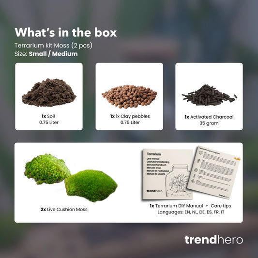 Terrarium Package – Refill & Starter Package – DIY Terrarium Kit – Size S/M