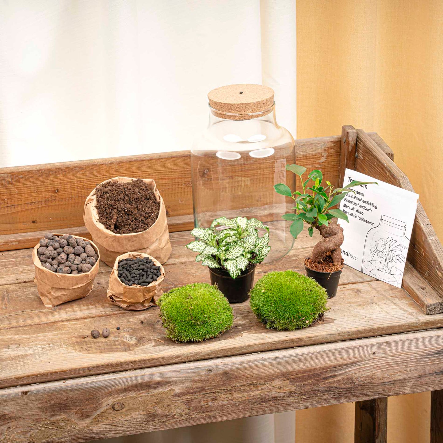 Comnox - Little Milky - DIY Terrarium Kit met LED - 25 cm hoog