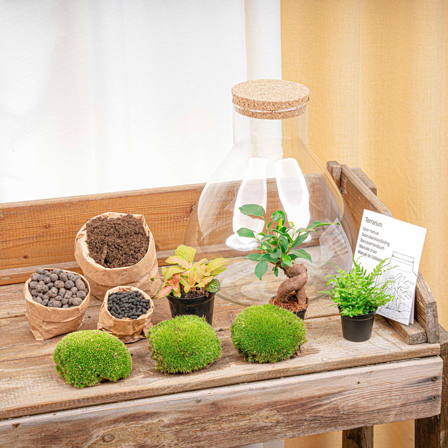 Sam XL Bonsai - Terrarium with light - Bottle garden DIY kit - Ø 30 cm ↑ 32 cm