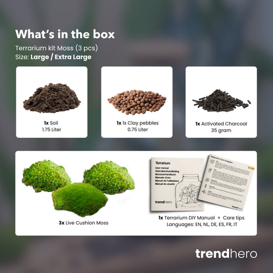 Terrarium Package – Refill & Starter Package – DIY Terrarium Kit – Size L/XL