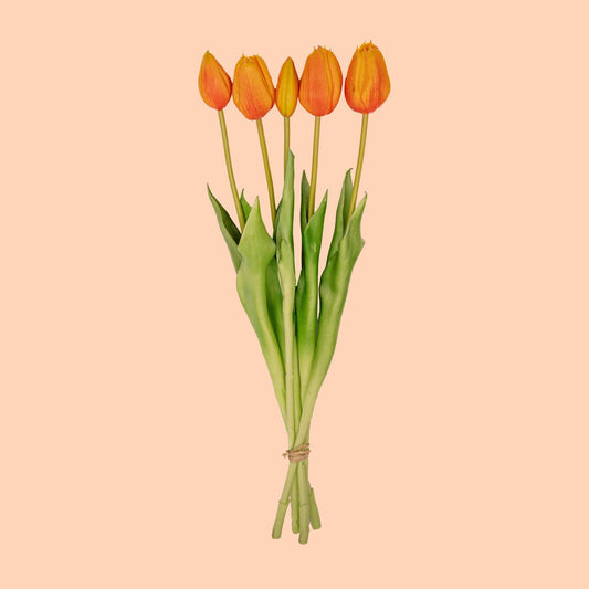 Vier oranje tulpen met gele tinten en groene bladeren, geïsoleerd op wit. Perfect voor decoratie of als cadeau voor een speciale gelegenheid.