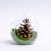 Glass Christmas Ball - Pinecone and Reindeer Moss