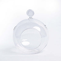 Glass Christmas Ball - Airplant and Reindeer Moss