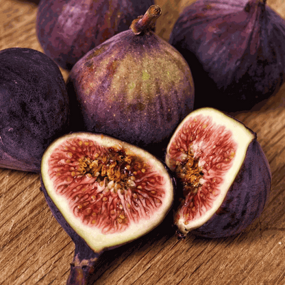 Ficus Carica - Set van 2 - Vijgenboom