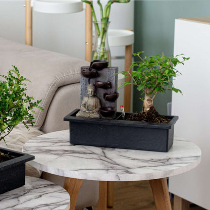 Bonsaiboompje met watersysteem - 2 stuks - Boeddha