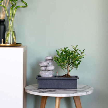 Bonsaiboom met watersysteem - Zenstenen