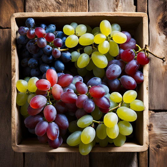 Druivenplanten - Mix van 6 - Vitis Vinifera