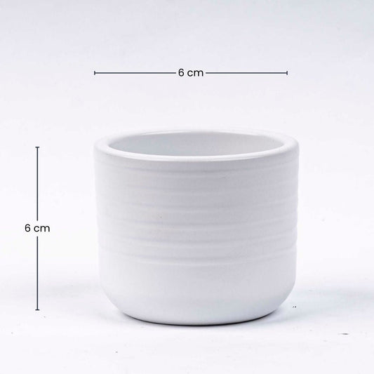 Een witte keramische pot met horizontale ribbels, geschikt voor binnen- en buitenplanten. Geschikt voor decoratieve of functionele plantenverzorging in moderne interieurs.
