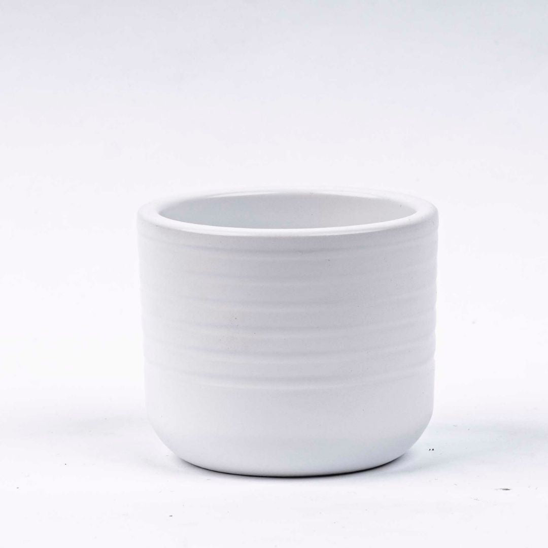Donny - Mini Plant Pot - White - Ø 6 cm ↑ 6 cm