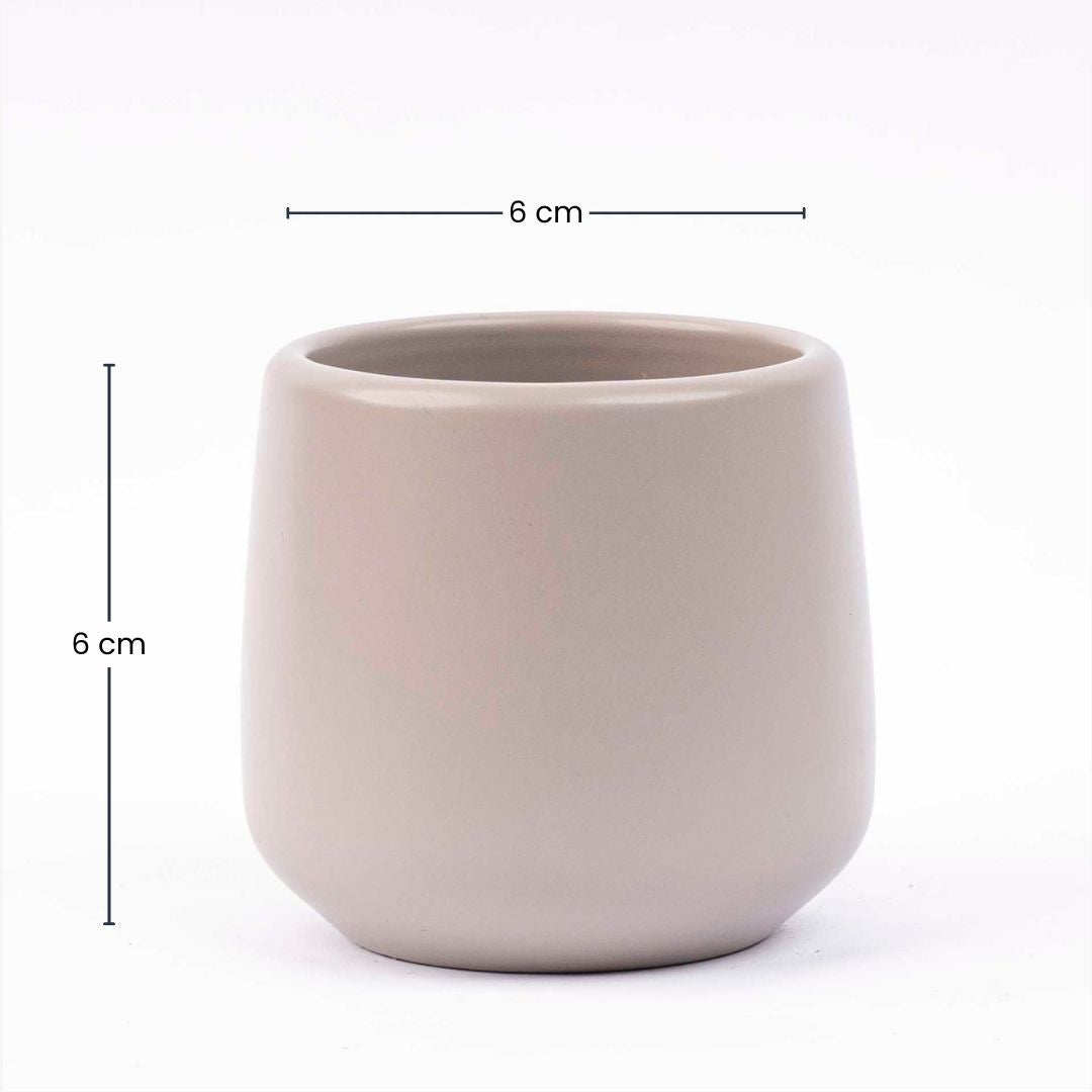 Joey - Mini Plant Pot - Grey matte - Ø 6 cm ↑ 6 cm
