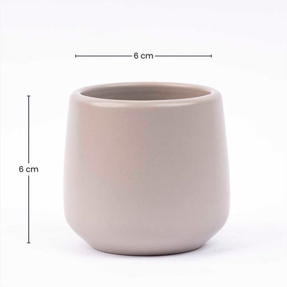 Joey - Mini Plant Pot - Grey matte - Ø 6 cm ↑ 6 cm