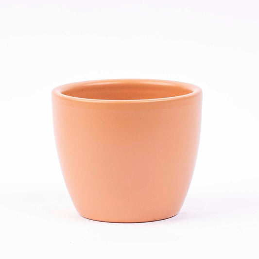 Een hartvormige, groene kamerplant in een terracotta pot, perfect voor een minimalistische interieurdecoratie. Ideaal als liefdesgift of decoratief element voor een moderne woonruimte.