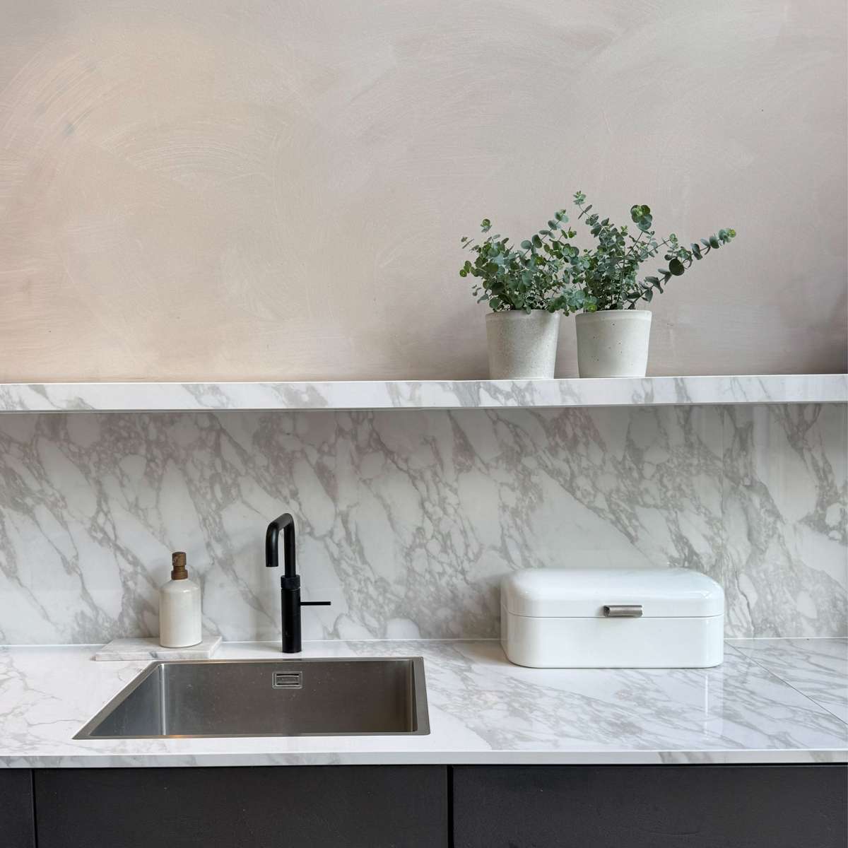 Eucalyptus Pulverulenta 'Babyblauw' - Set van 4