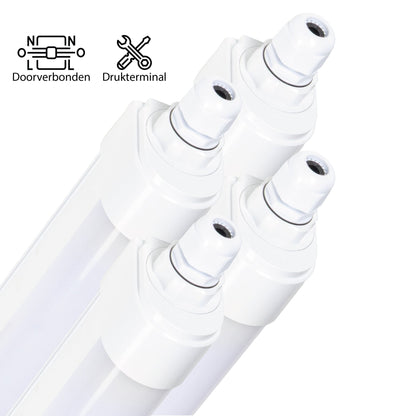 Witte LED-buis met drukterminal en doorverbonden aansluiting, geschikt voor professionele verlichting. Zichtbare metalen contacten en transparante buis voor efficiënte installatie in commerciële ruimtes.