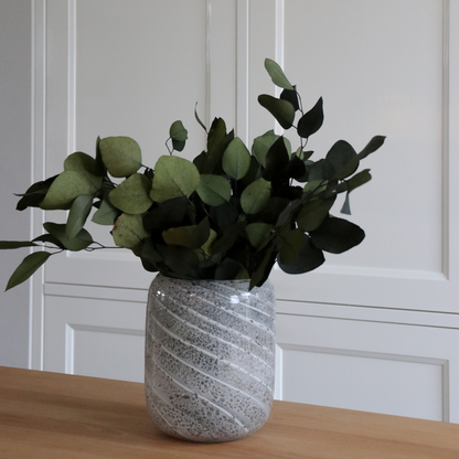 Eucalyptus stuartiana