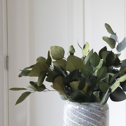 Eucalyptus stuartiana