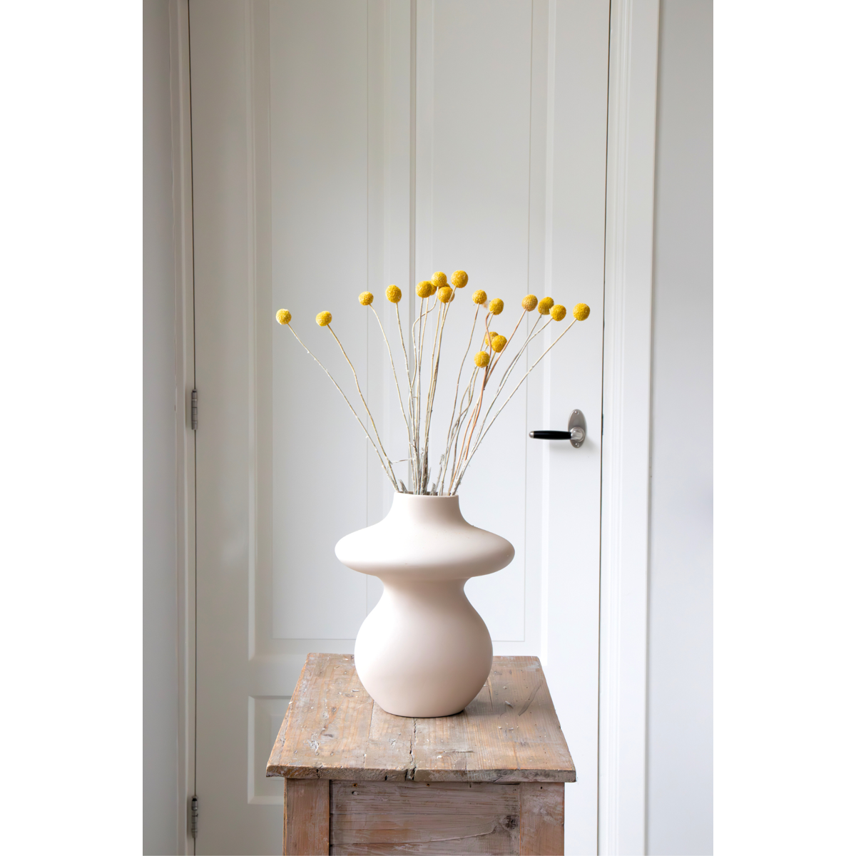 Boeket 'Craspedia natural yellow' - Droogbloemen