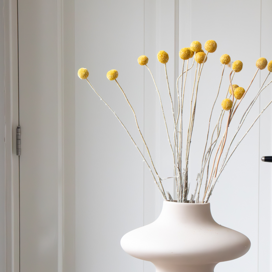 Boeket 'Craspedia natural yellow' - Droogbloemen
