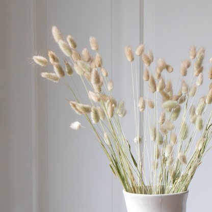 Boeket 'Lagurus Bunny Ears' - Droogbloemen