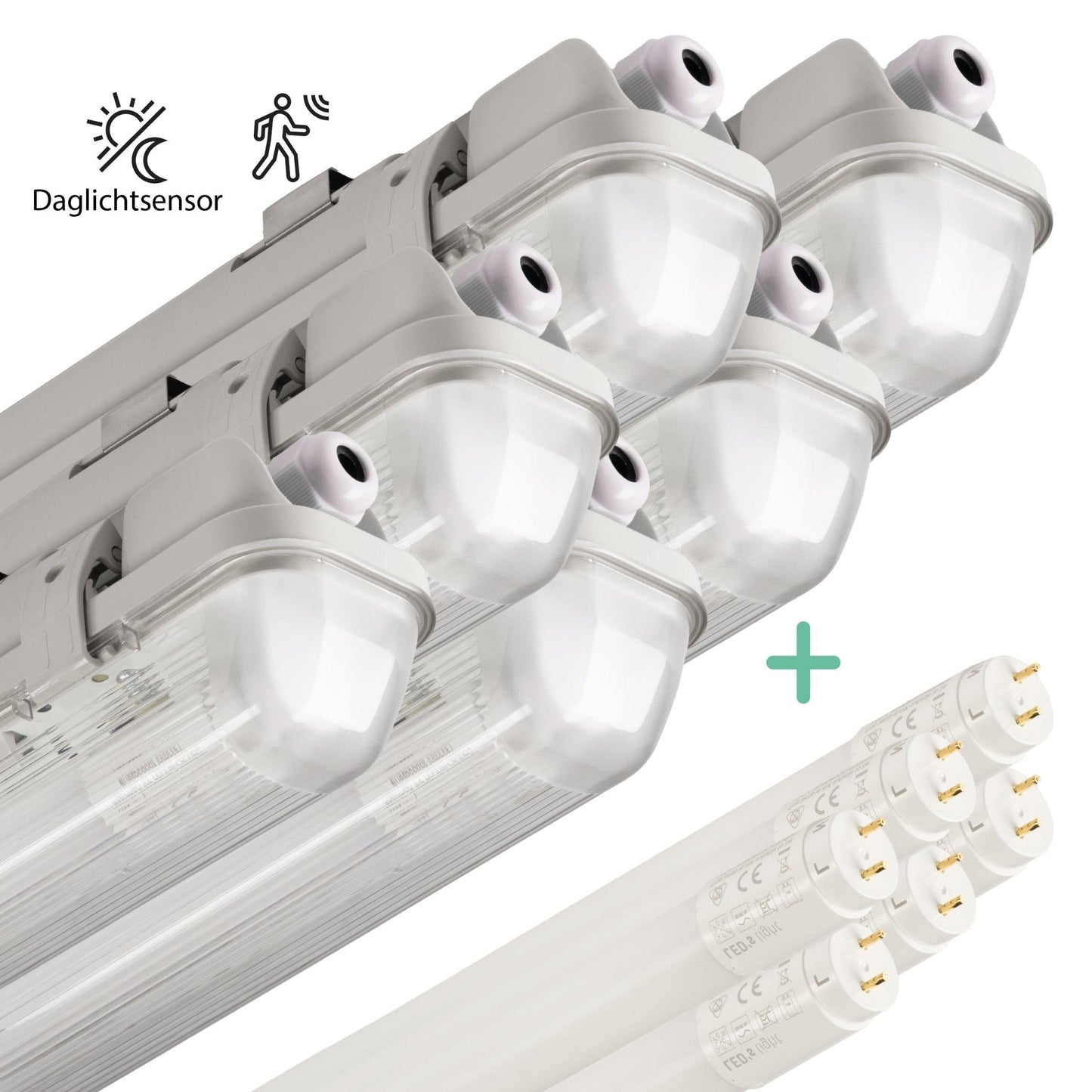 Comnox - Proventa LED TL lamp met bewegingssensor - Volop licht, zuinig & waterdicht - 150 cm - 3100 lumen - IP65 - 20W