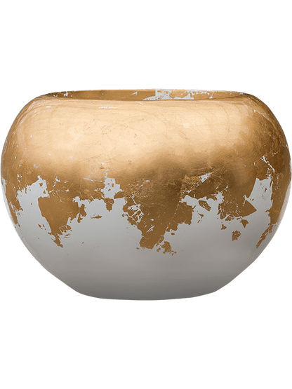 Alocasia 'Portodora' in Baq Luxe Lite Glossy Pot - Kant & Klaar