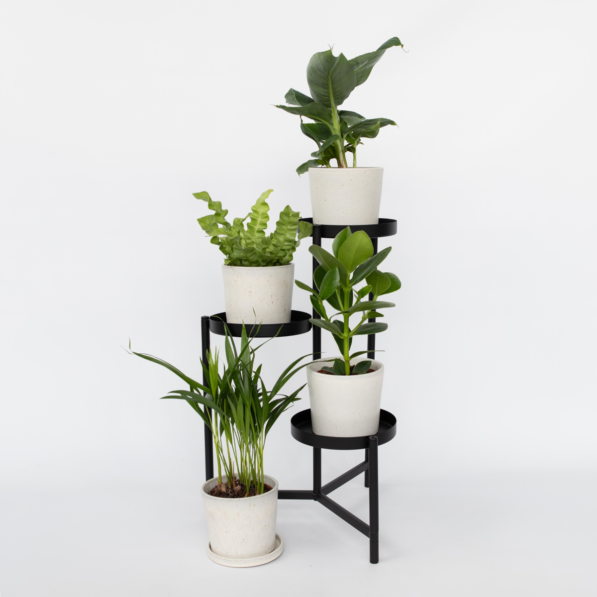 Groen Kwartet - Mix van 4