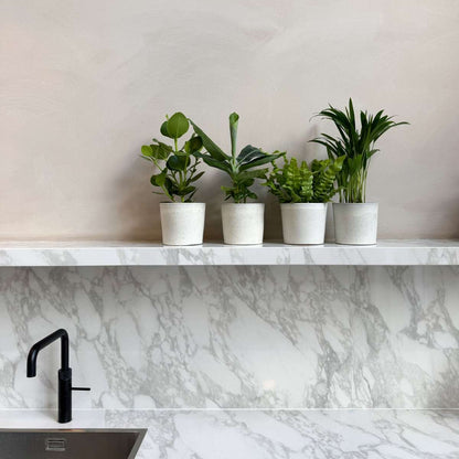 Groen Kwartet - Mix van 4